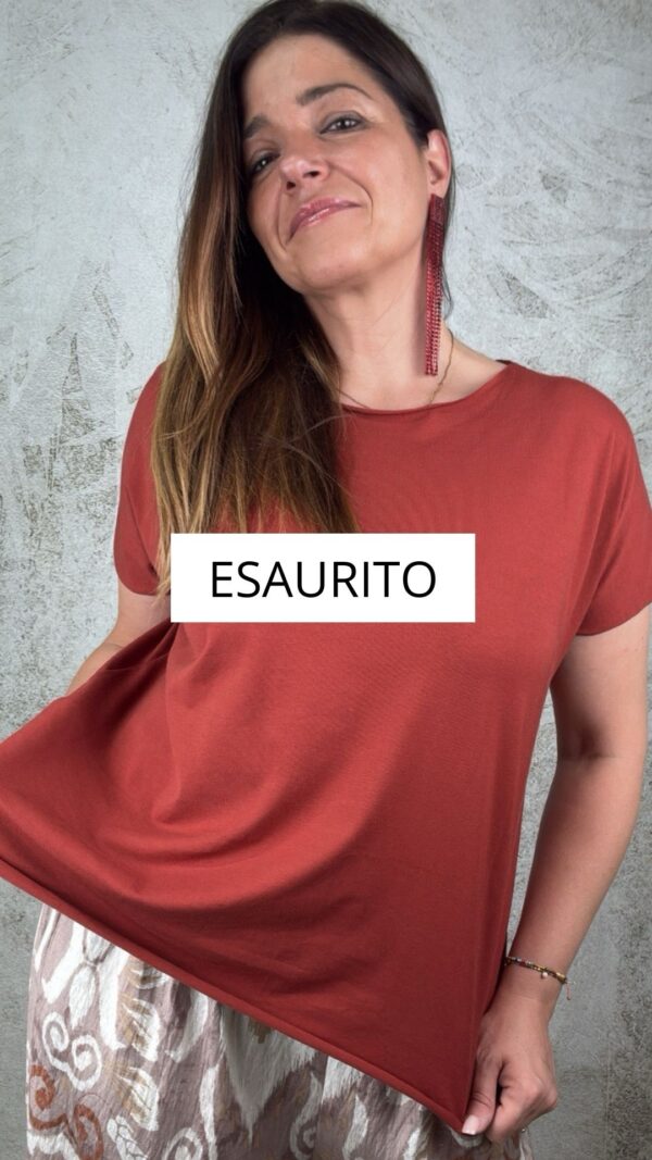 T-shirt basic ruggine